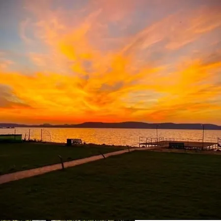 Infinity Lellemarine *